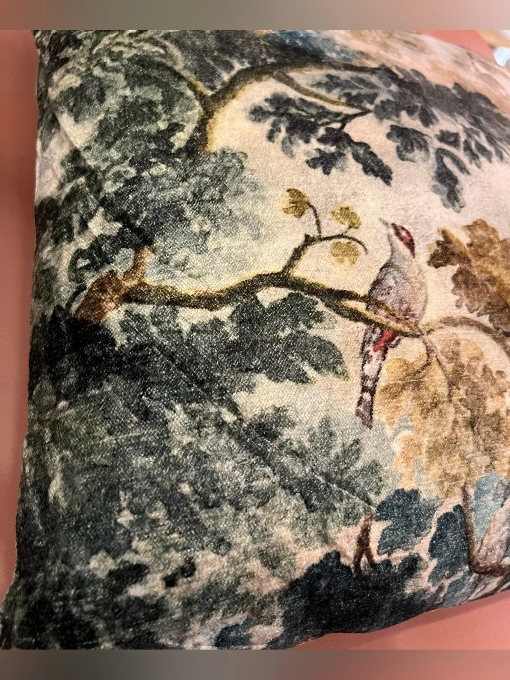 Anthropologie Velvet Printed Pillow, Judarn